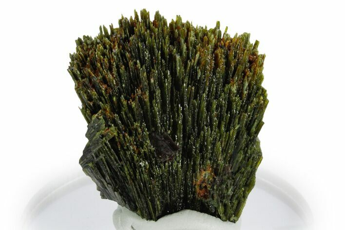 Lustrous Green Epidote Crystal Sprays with Axinite - Peru #347873